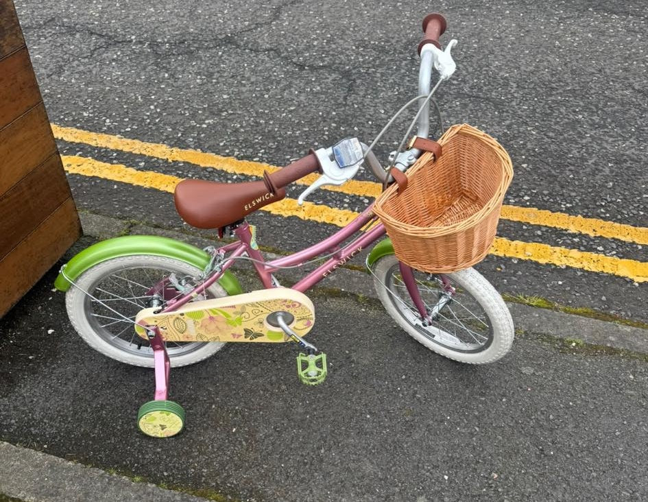 Elswick Hope 16” Girls Bike - Pink