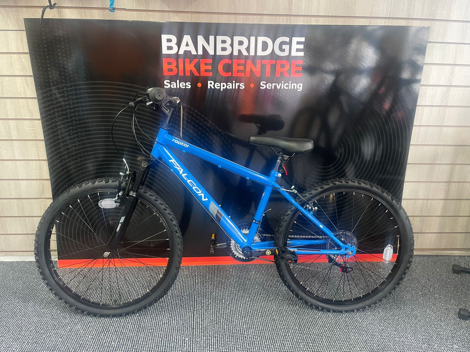 Falcon Raptor 24 Inch Bike