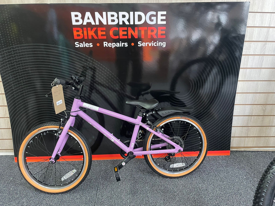 Raleigh Pop 20 Inch Bike - Purple