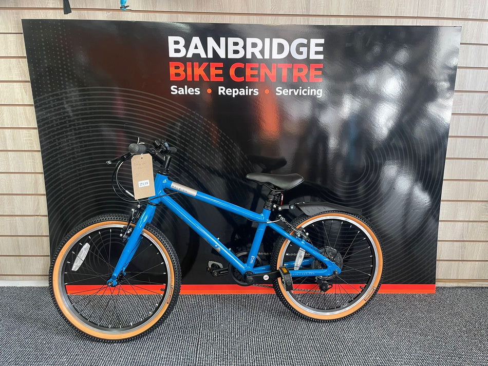 Raleigh Pop 20 Inch Bike - Blue
